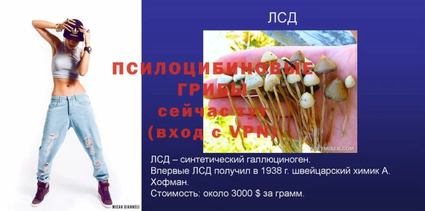 jwh Протвино