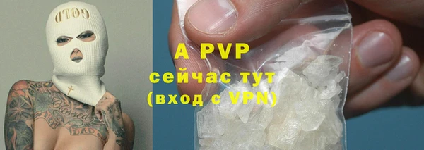 ECSTASY Приозерск