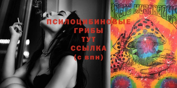 ГАЛЛЮЦИНОГЕННЫЕ ГРИБЫ Пролетарск