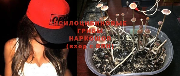 ГАЛЛЮЦИНОГЕННЫЕ ГРИБЫ Пролетарск