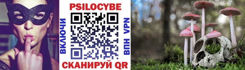 Псилоцибиновые грибы мицелий  Сычёвка 